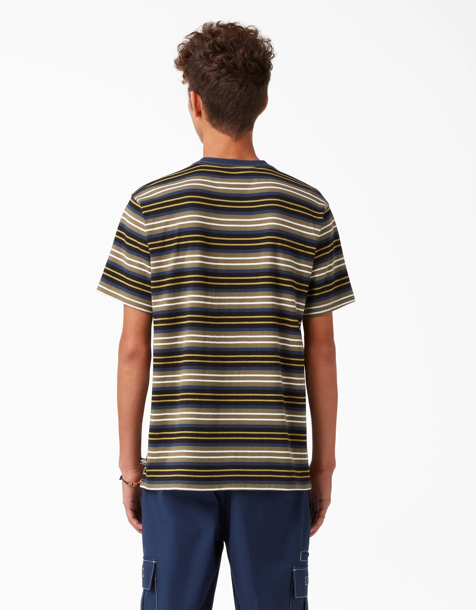 Dickies Skateboarding Stripe Graphic T-Shirt - Black/Moss Stripe