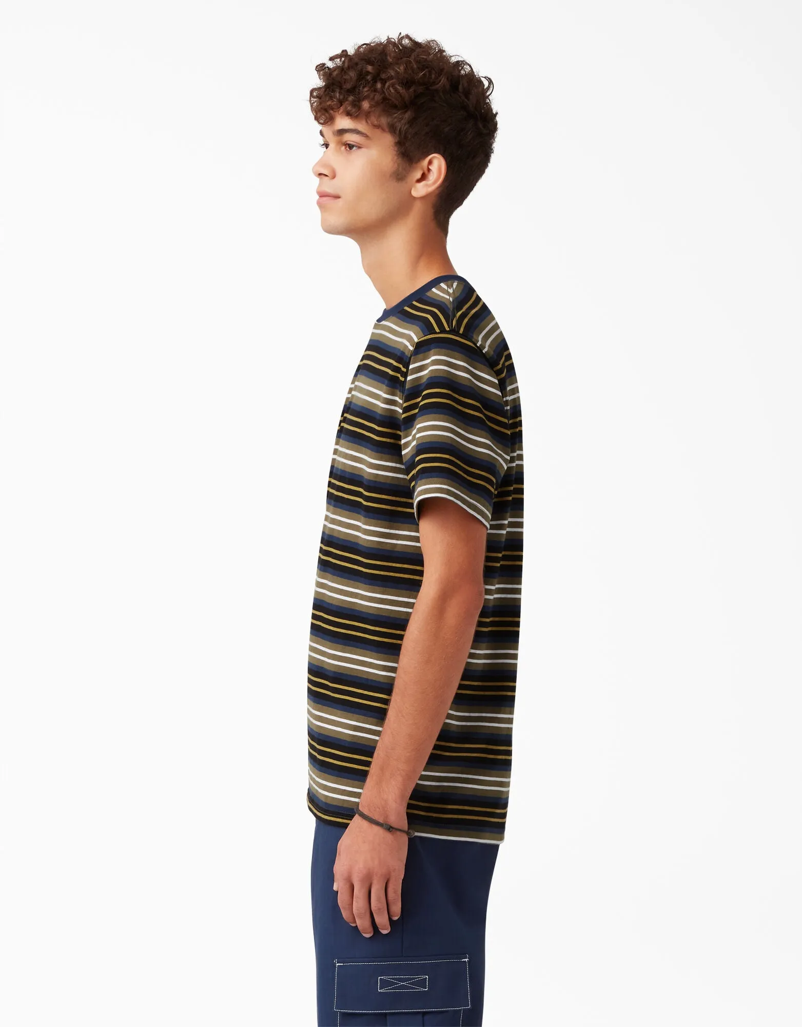 Dickies Skateboarding Stripe Graphic T-Shirt - Black/Moss Stripe