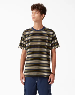 Dickies Skateboarding Stripe Graphic T-Shirt - Black/Moss Stripe